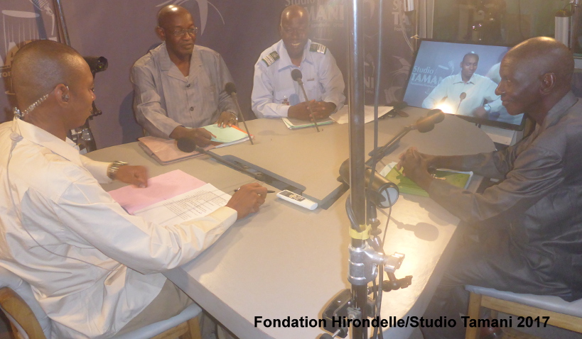 Les oiseaux migrateurs quelle importance ?