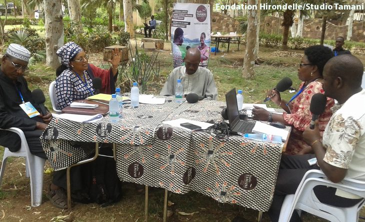 Crise malienne : analyse des causes, conséquences et solutions