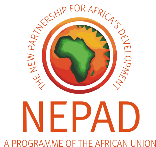 Le Nepad a défini ses 16 projets prioritaires à Dakar
