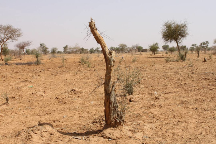 Dérèglement climatique au Mali : le désert avance de 7 km par an