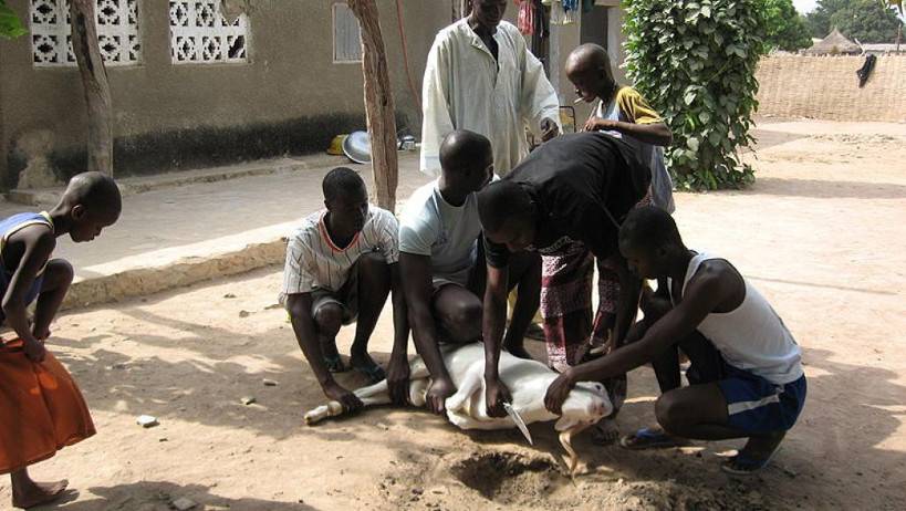 Nord, Sud, Centre du Mali : comment les jeunes envisagent de fêter la Tabaski ?
