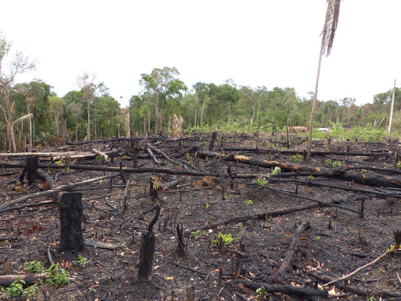 « Parlons de l’Environnement » : vers l’abandon de la coupe abusive du bois à Bougouni ?