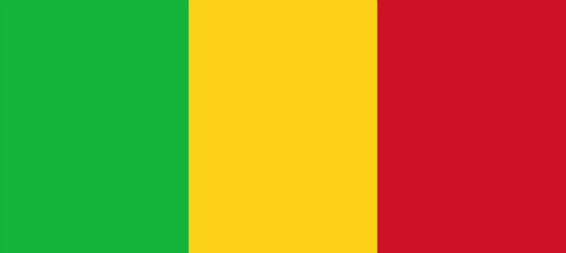 Les hauts fonctionnaires du Mali n’ont plus que 2 mois pour déclarer leurs biens