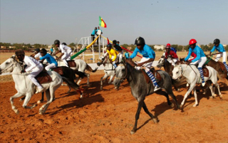 Le Magazine du 20 Décembre 2014: Mohamed Haidara, nouveau president de la nouvelle fédération malienne des sports équestres