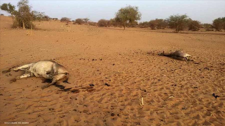 Le Magazine du 04 Juillet 2017, Mali : le Centre et le Nord frappés par la sécheresse et les inondations