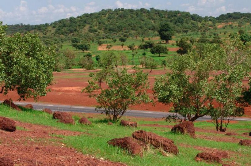 « Parlons de l’Environnement » : Kangaba, la dégradation des forêts du cercle inquiète