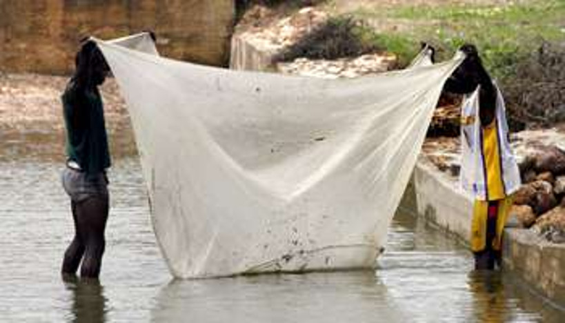 « Parlons de l’Environnement » : Mopti, la pêche à la moustiquaire inquiète