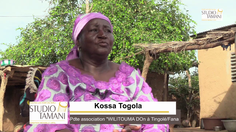 Changement Climatique : des femmes de Tingolé regrettent le manque d’arbres dans les forêts